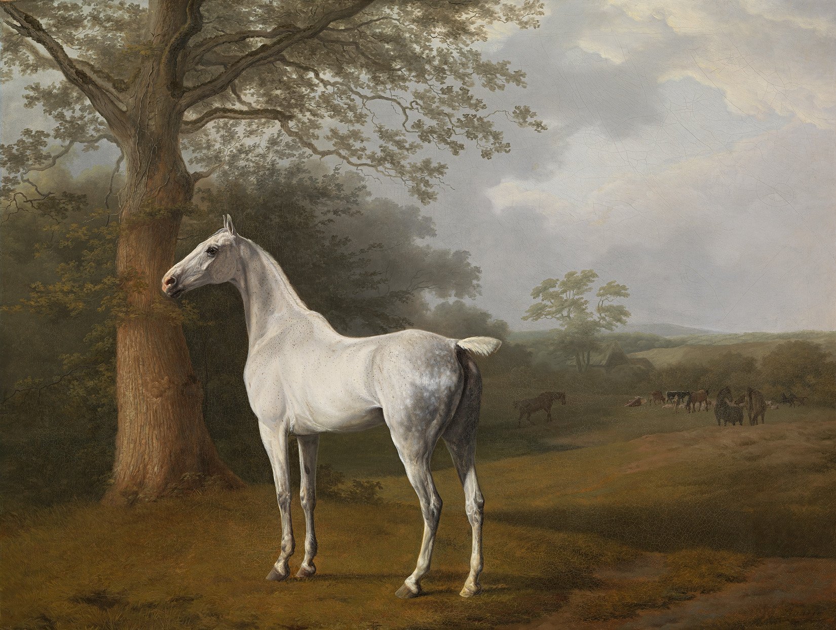 Jacques-Laurent Agasse - Schimmel auf der Weide