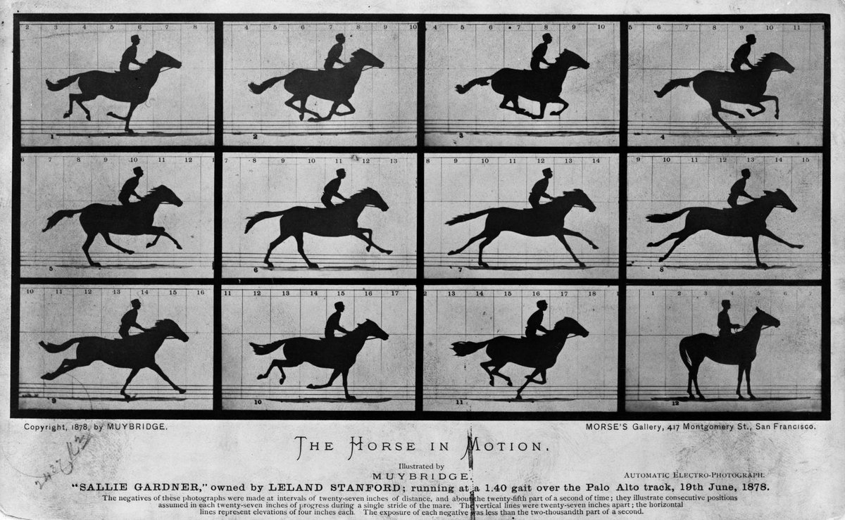 Muybridge - The Horse in Motion